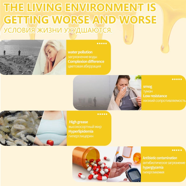 Propolis Flavonoid Capsules Natural Antioxidant Supplements 1000mg Bee Well with Royal Jelly Organic Bee Farm Beauty Health Food