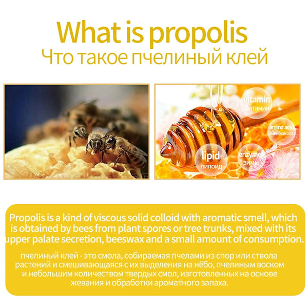 Propolis Flavonoid Capsules Natural Antioxidant Supplements 1000mg Bee Well with Royal Jelly Organic Bee Farm Beauty Health Food