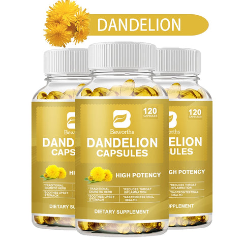 BEWORTHS Dandelion Root Capsules Healthy Liver High Potency, Supports Overall Good Health & Well-Being,Traditional Diuretic Herb
